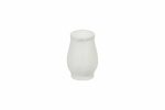 Salt Shaker